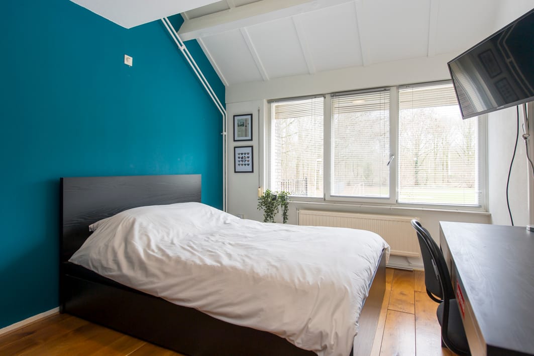 Photo 21 of Beilerstroom 38