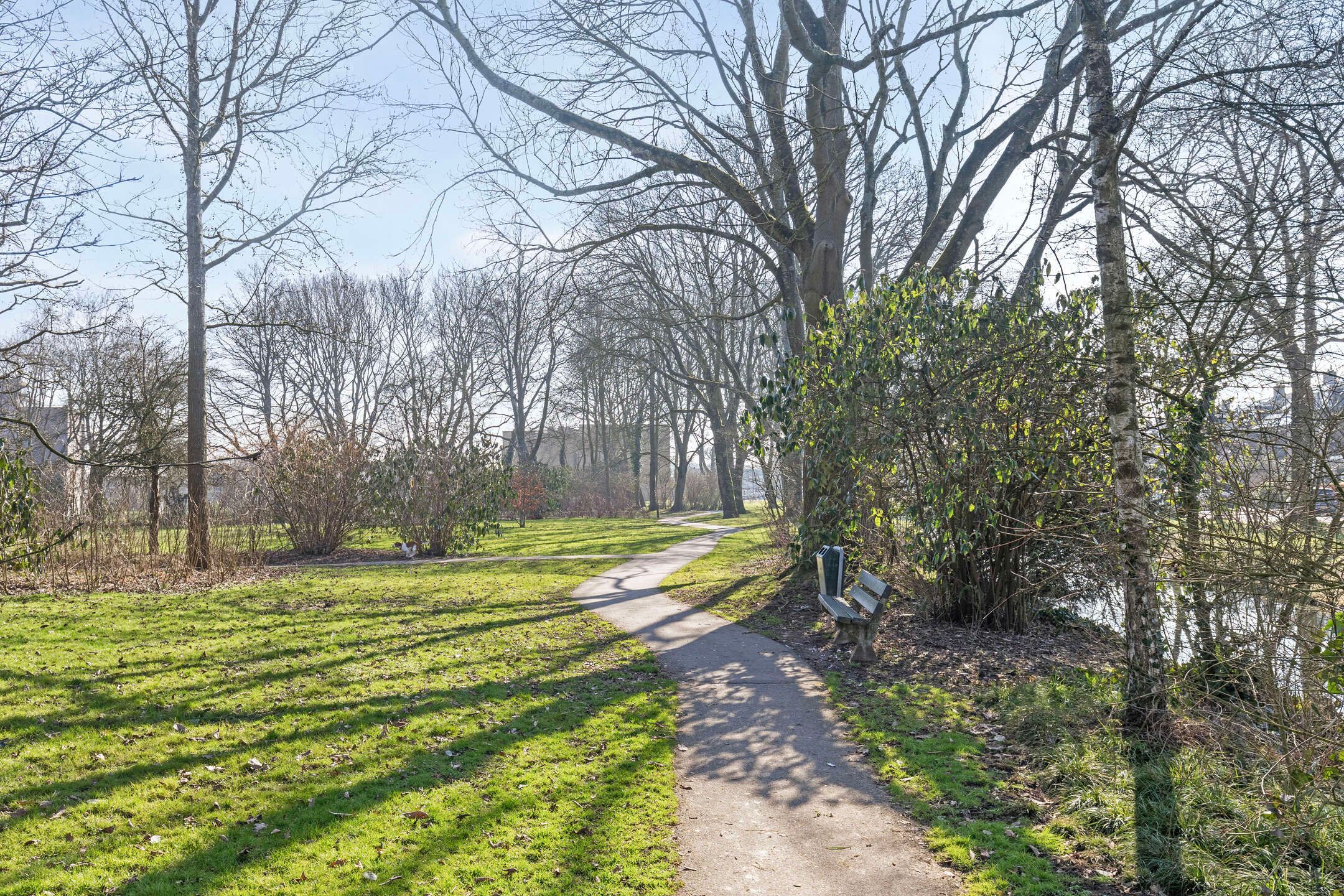 Foto 45 van Vlassersstraat 17