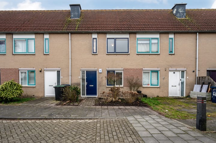 Foto 2 van Narcispad 5