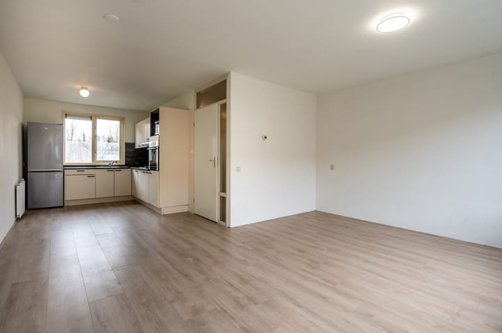 Foto 4 van Narcispad 5