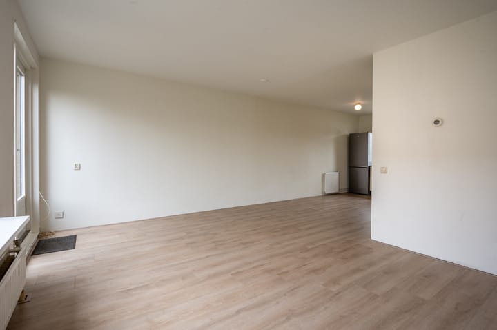 Foto 5 van Narcispad 5