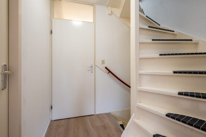 Foto 16 van Narcispad 5