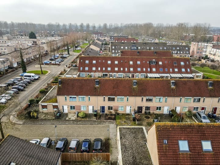 Foto 31 van Narcispad 5