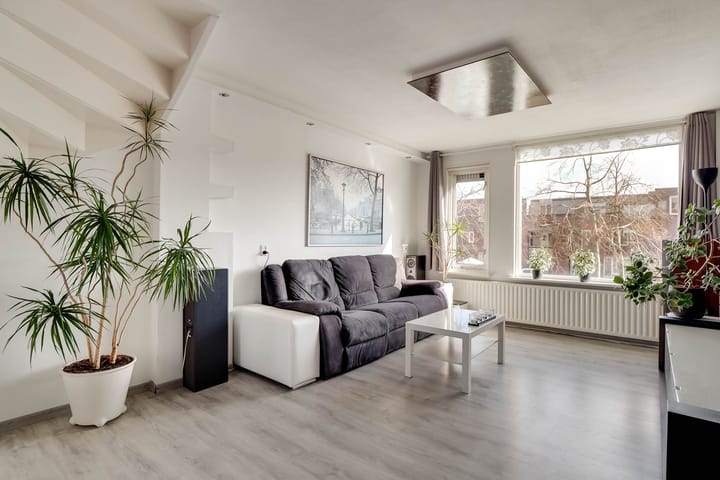 Foto 2 van Ekster 84