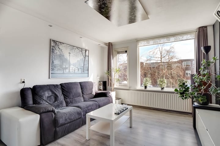 Foto 3 van Ekster 84