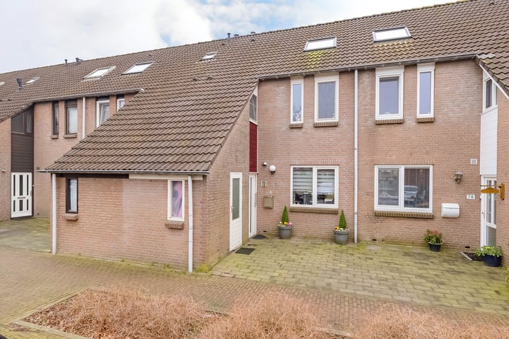 Bekijk foto van Koraalzwam 80