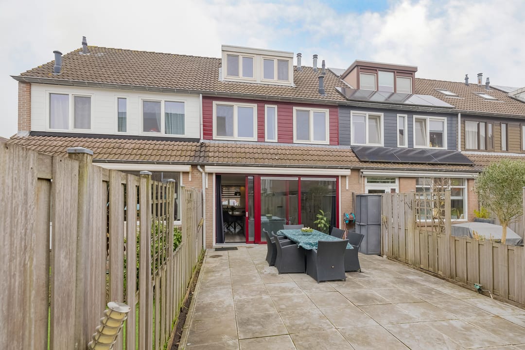 Foto 2 van Koraalzwam 80