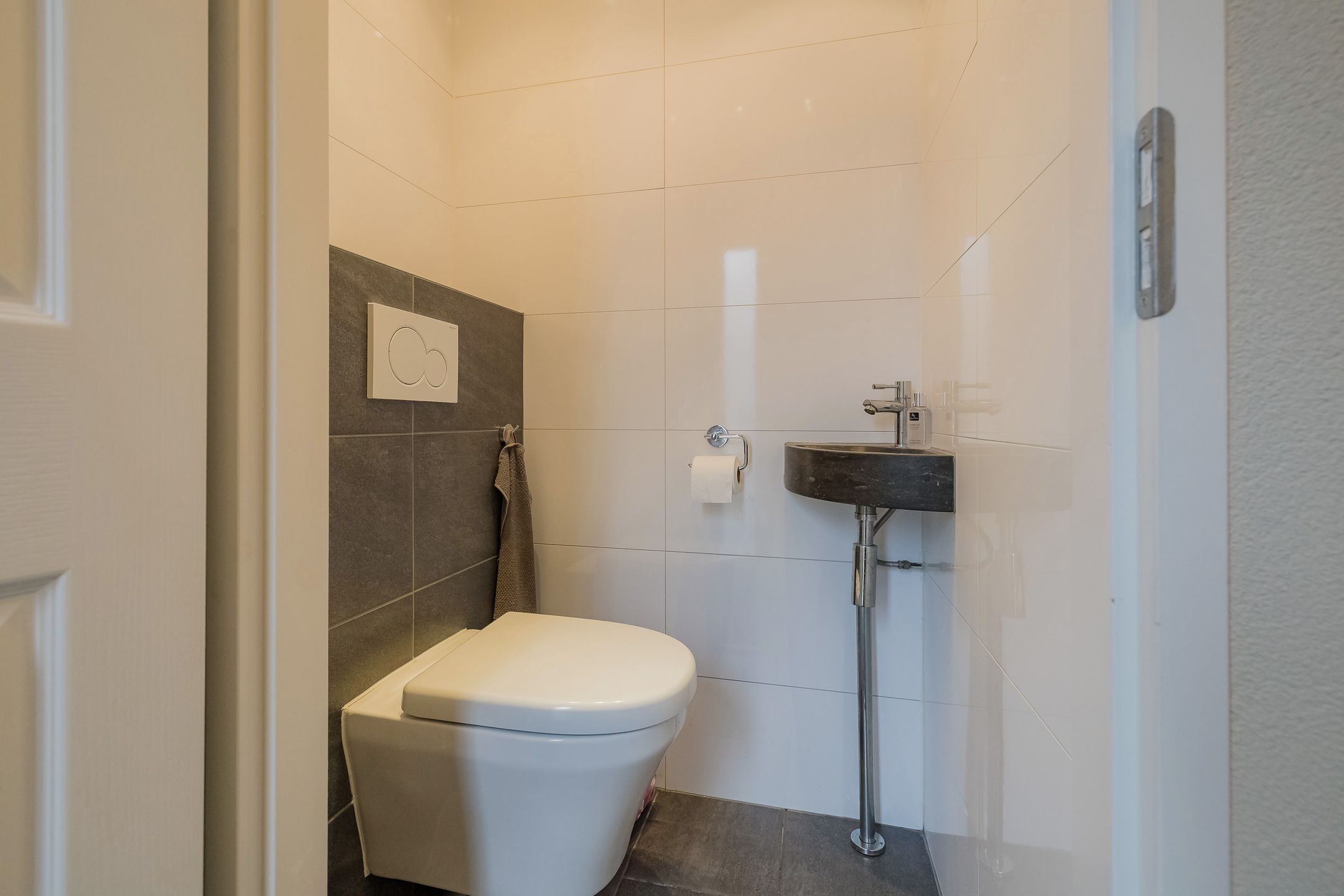 Foto 6 van Koraalzwam 80