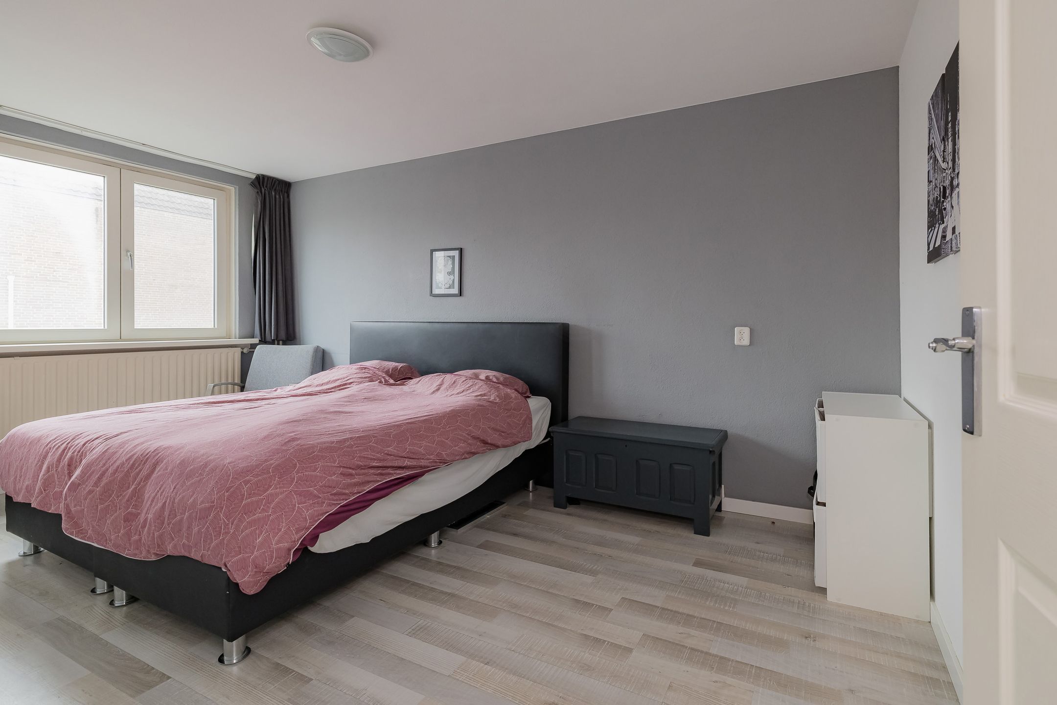 Foto 15 van Koraalzwam 80