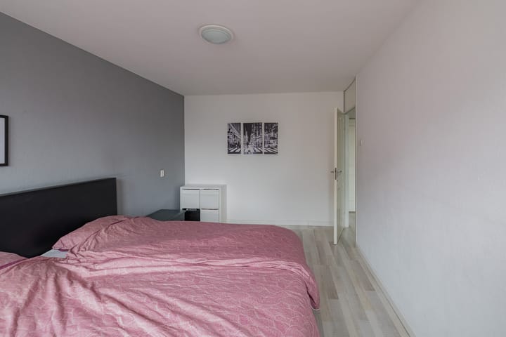 Foto 17 van Koraalzwam 80