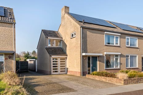 undefined main image