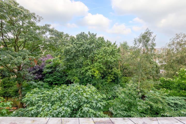 Foto 24 van Van Cittersstraat 43-A02