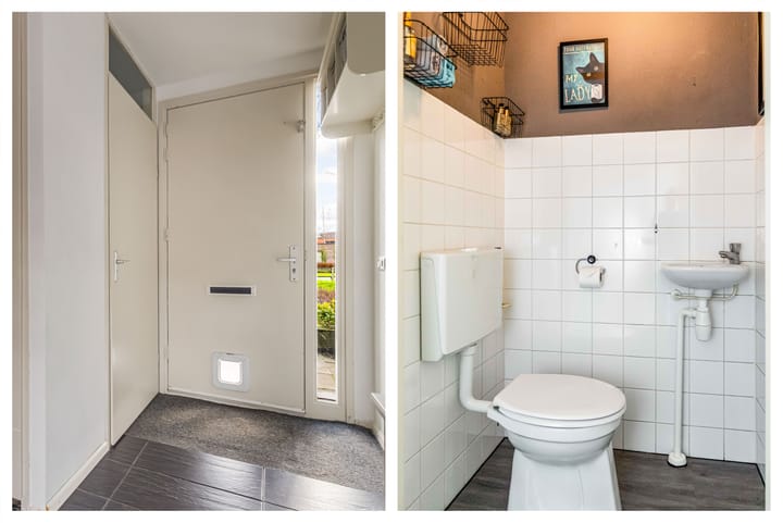 Foto 5 van Salvador Daliplantsoen 29