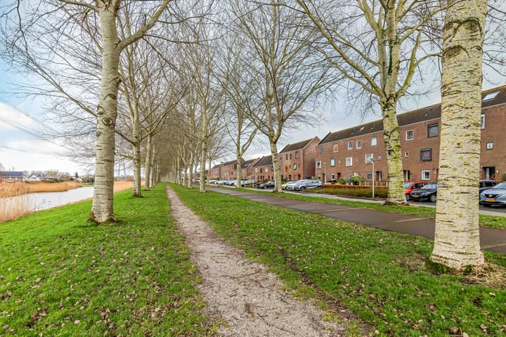 Foto 47 van Salvador Daliplantsoen 29