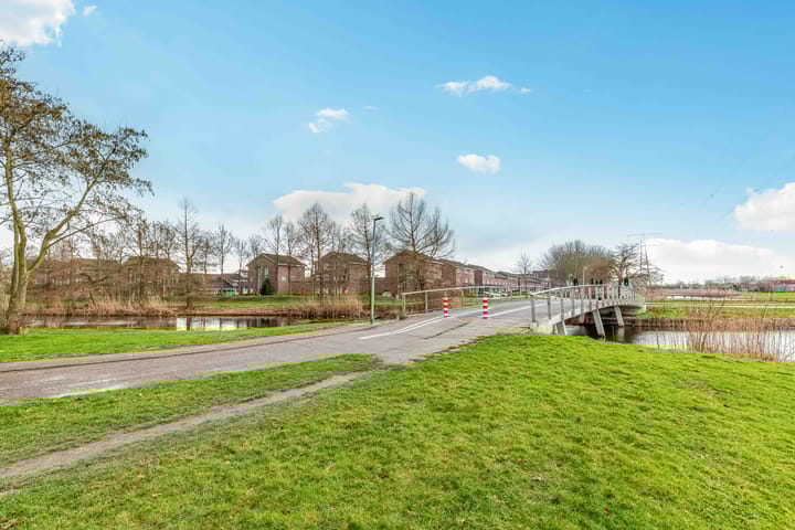 Foto 49 van Salvador Daliplantsoen 29