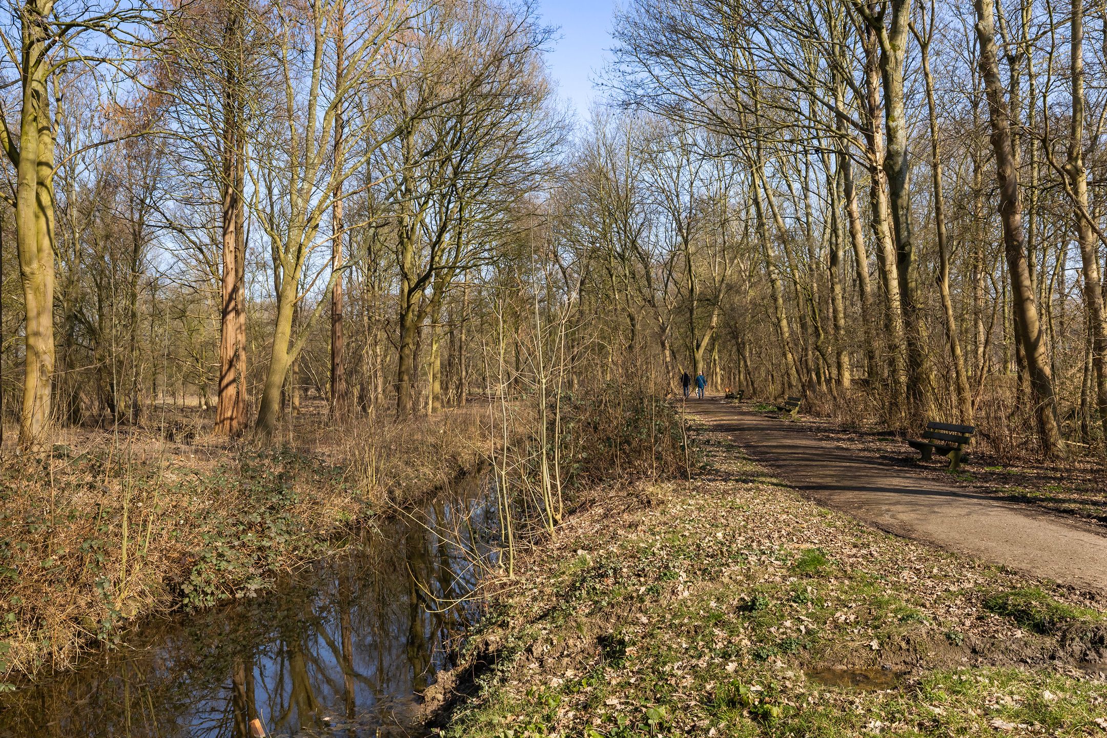 Foto 30 van Hieronymus Boschpad 10