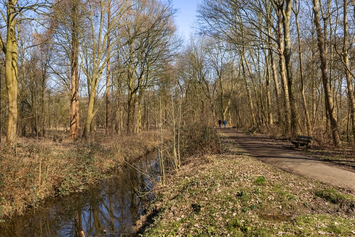 Foto 30 van Hieronymus Boschpad 10