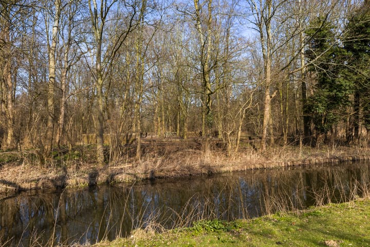 Foto 31 van Hieronymus Boschpad 10