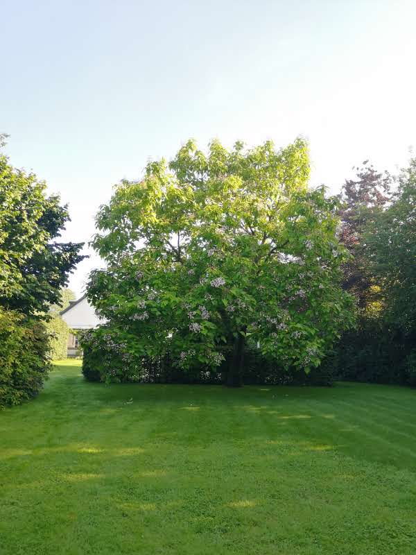 Photo 36 of Tweede Verkorting 1