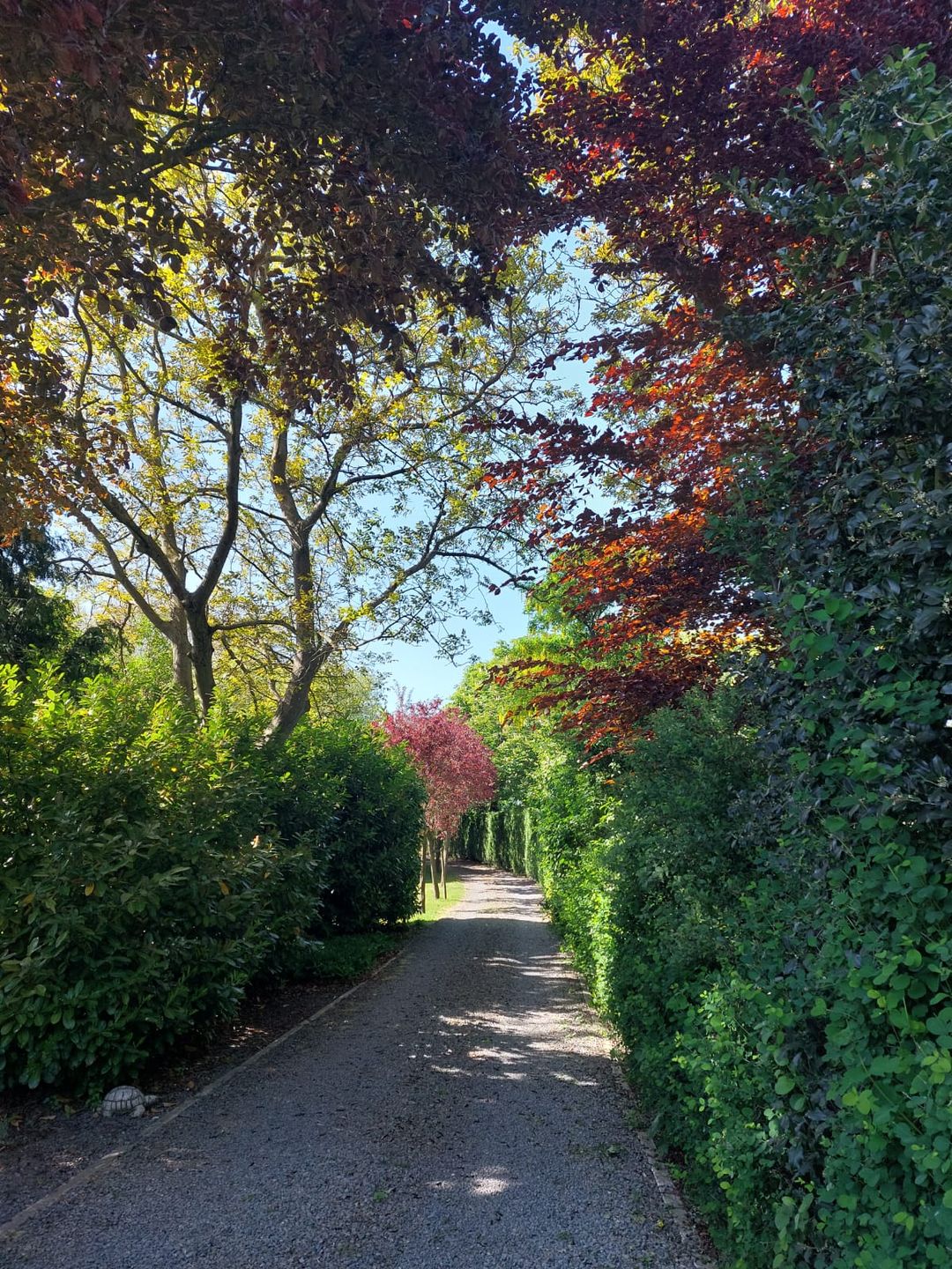 Photo 37 of Tweede Verkorting 1