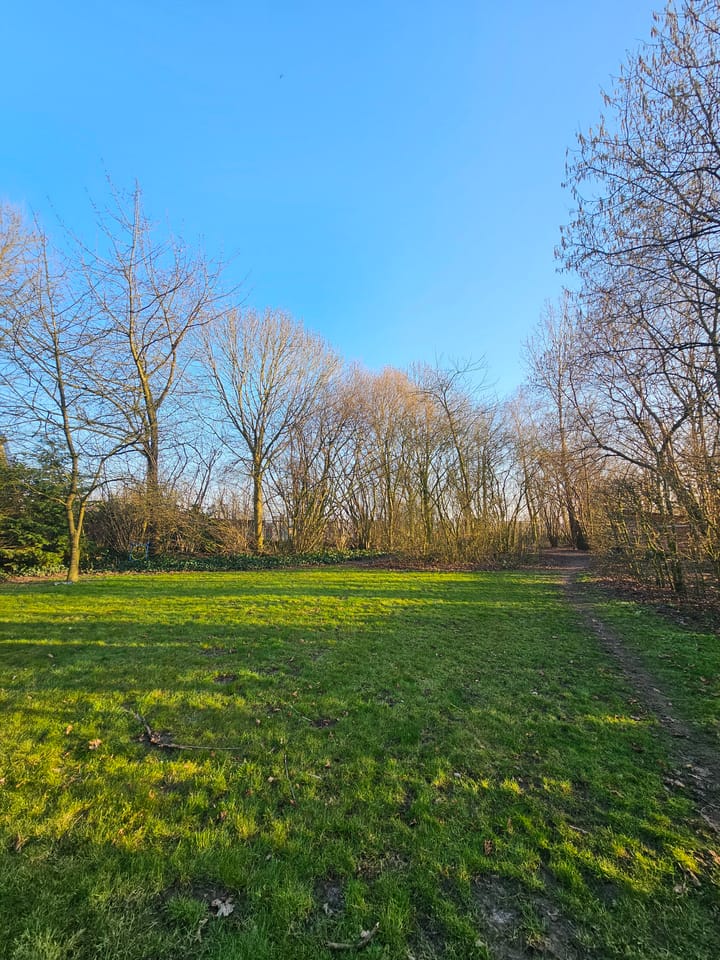 Foto 38 van Tweede Verkorting 1