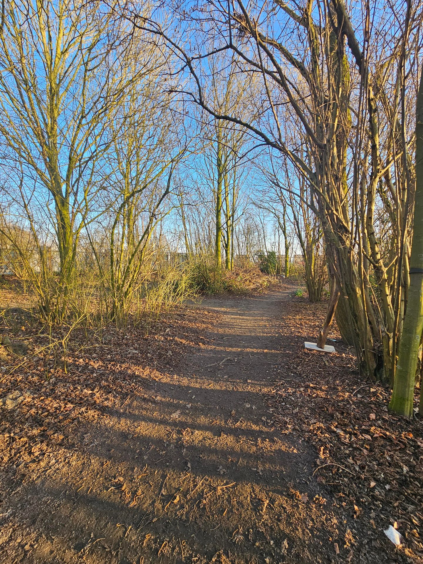 Photo 40 of Tweede Verkorting 1