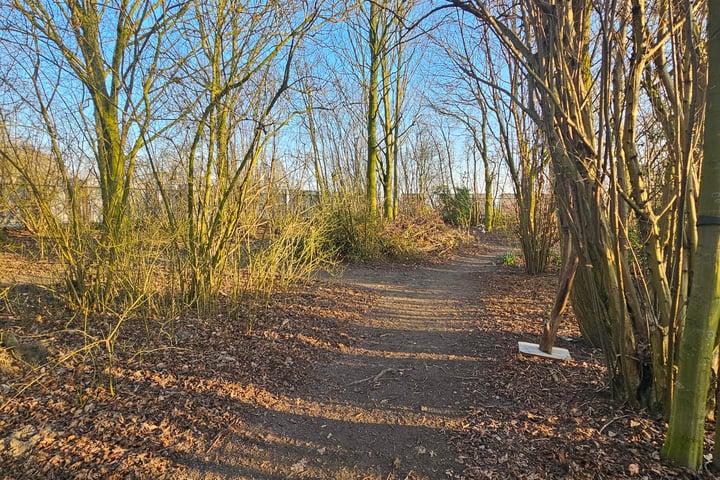 Foto 40 van Tweede Verkorting 1