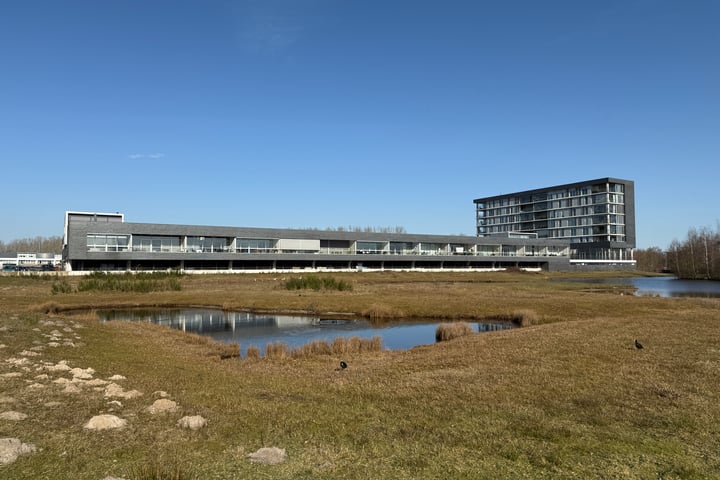 Dalempromenade 12