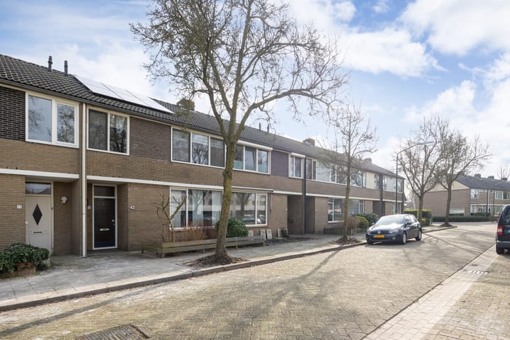 Foto 41 van van Randerodestraat 42