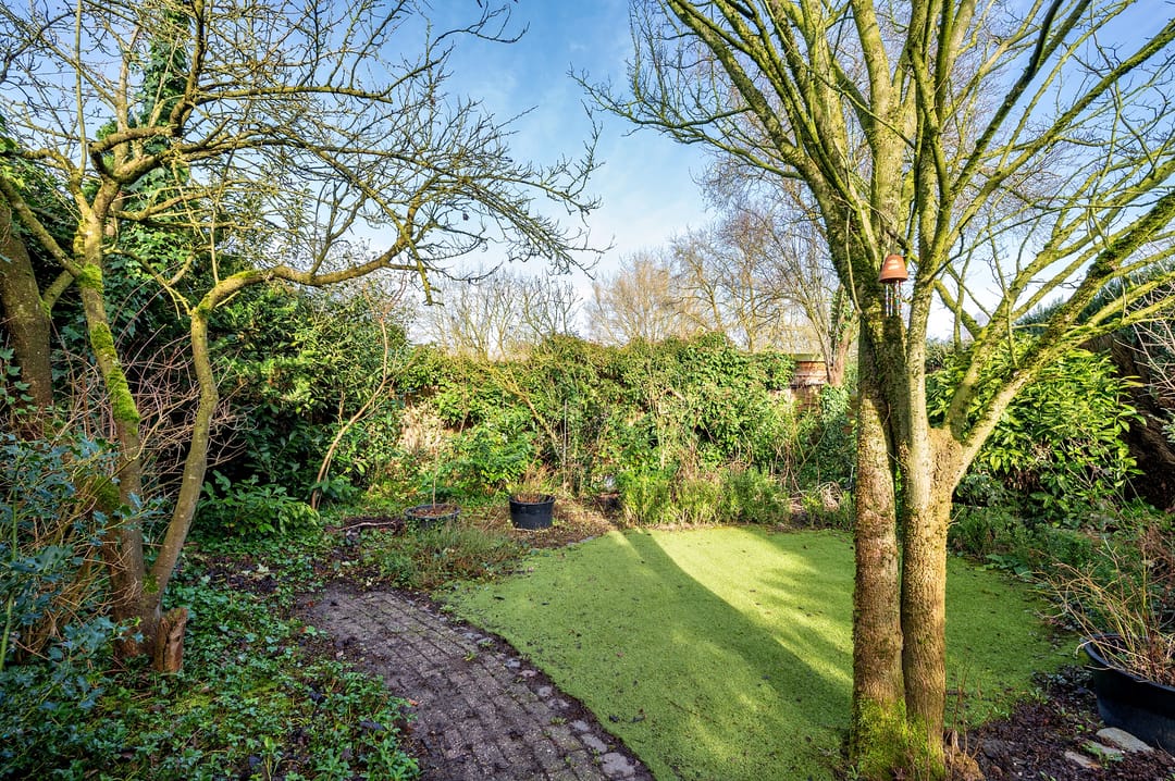 Foto 46 van Dorperweiden 85