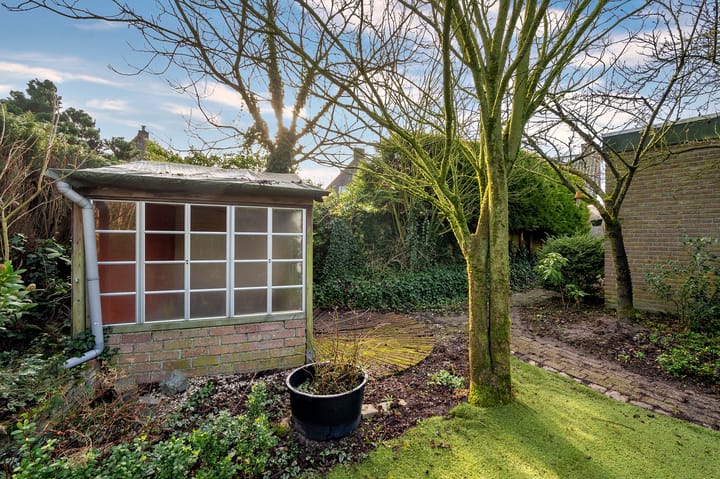 Foto 49 van Dorperweiden 85