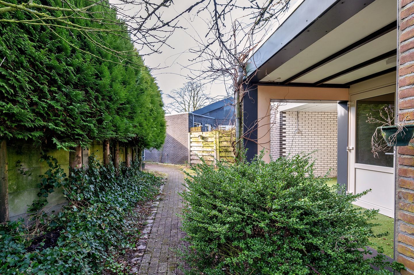 Foto 50 van Dorperweiden 85