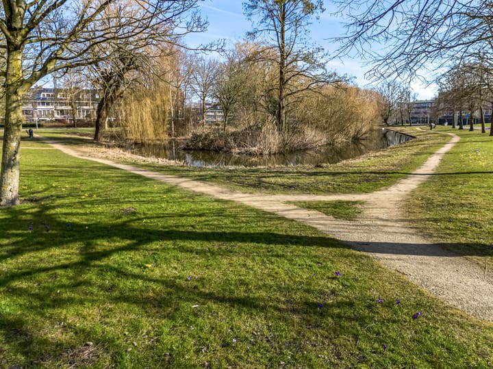 Foto 29 van Tobias Asserlaan 176