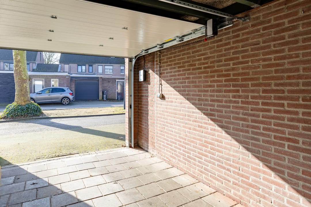 Photo 28 of Schutsboom 12