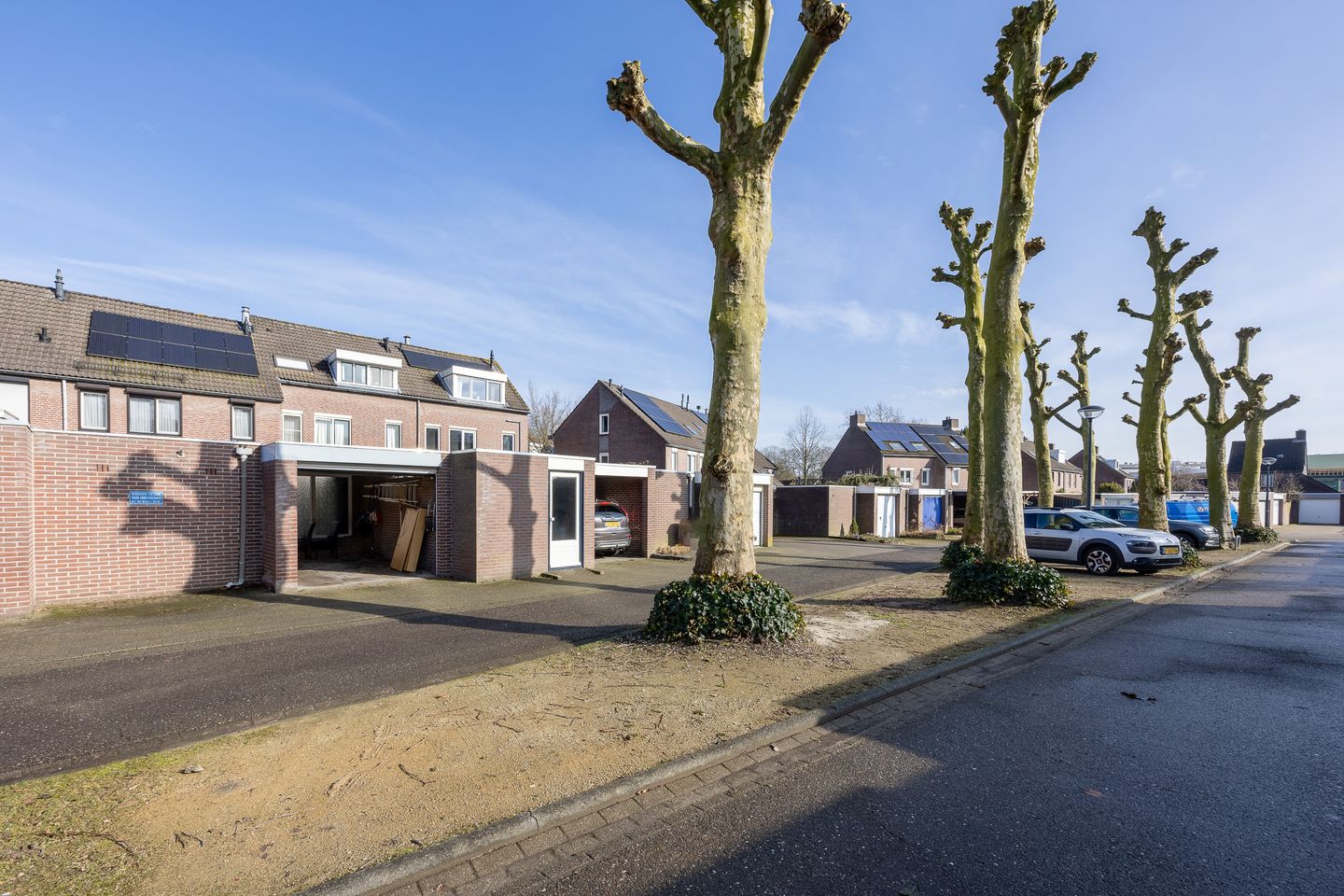 Photo 29 of Schutsboom 12