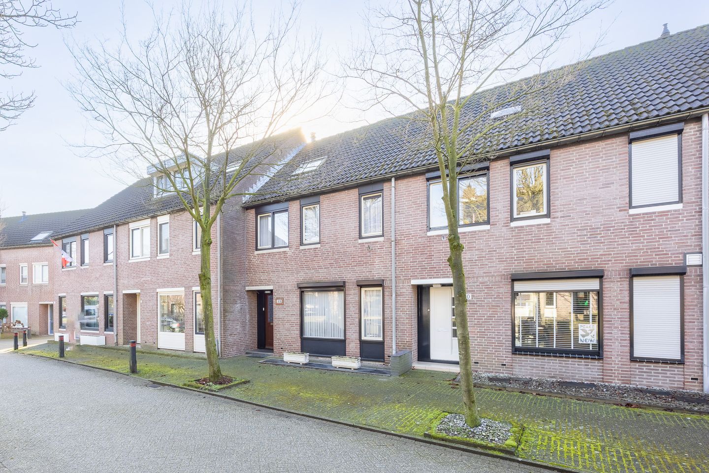 Photo 34 of Schutsboom 12