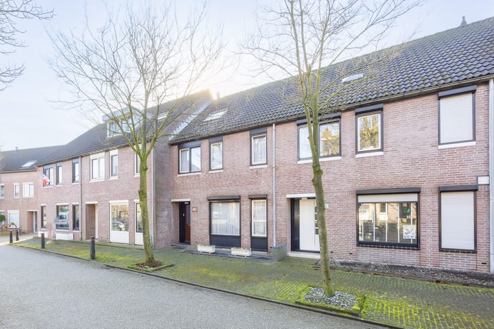 Foto 34 van Schutsboom 12