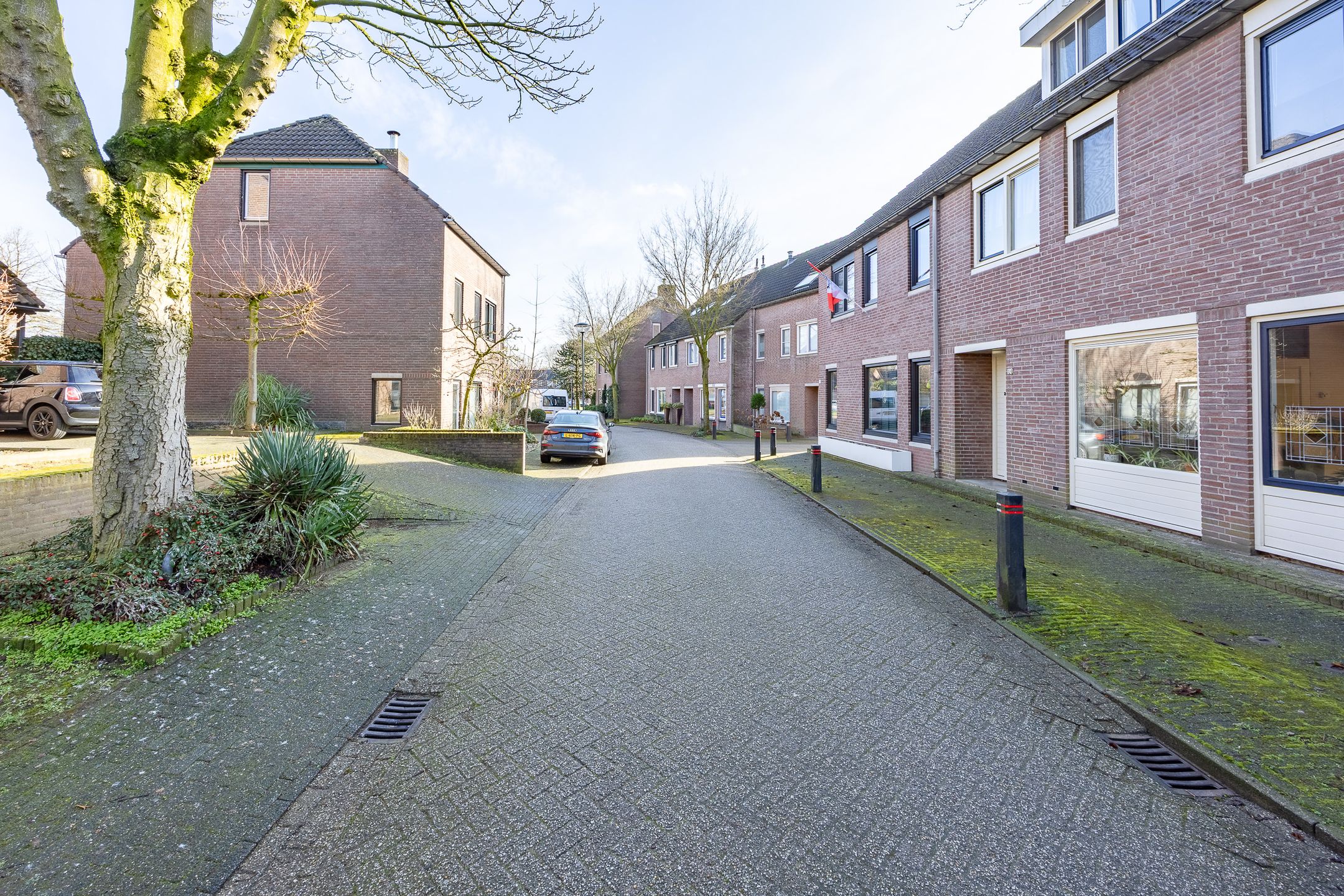 Photo 36 of Schutsboom 12