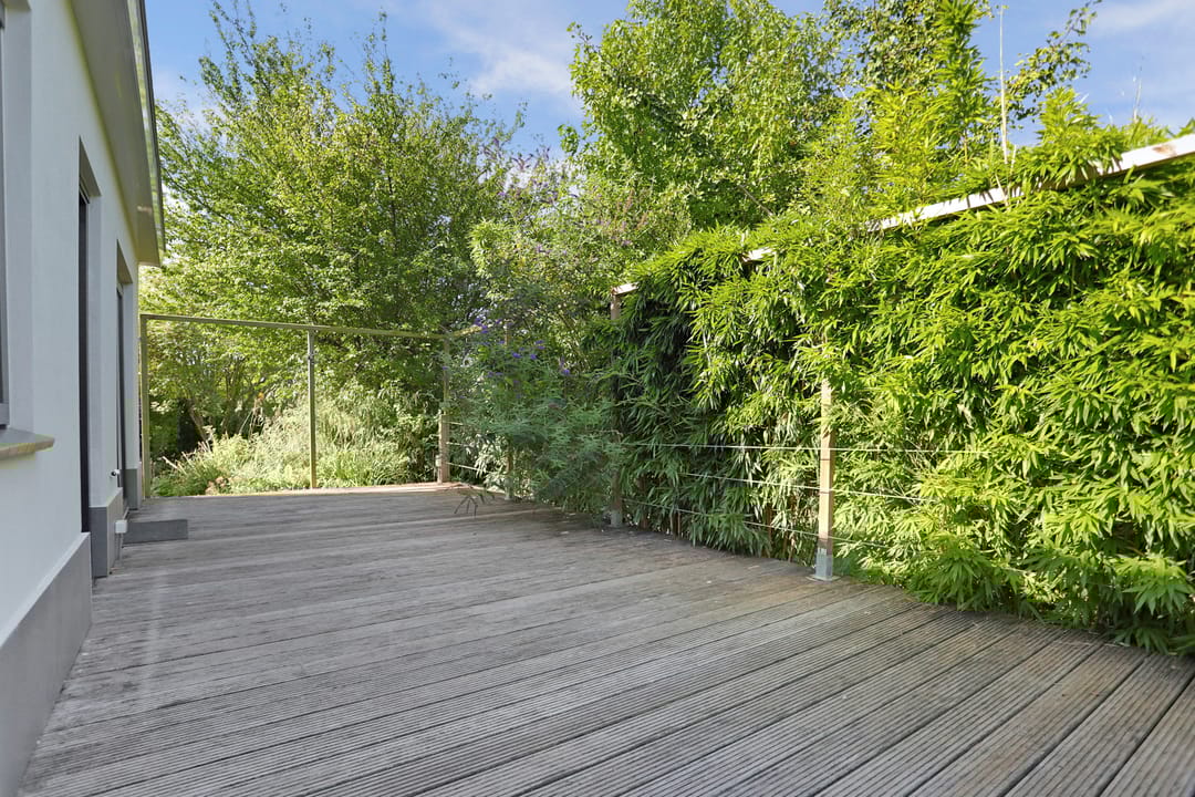 Photo 46 of Stougjesdijk 267