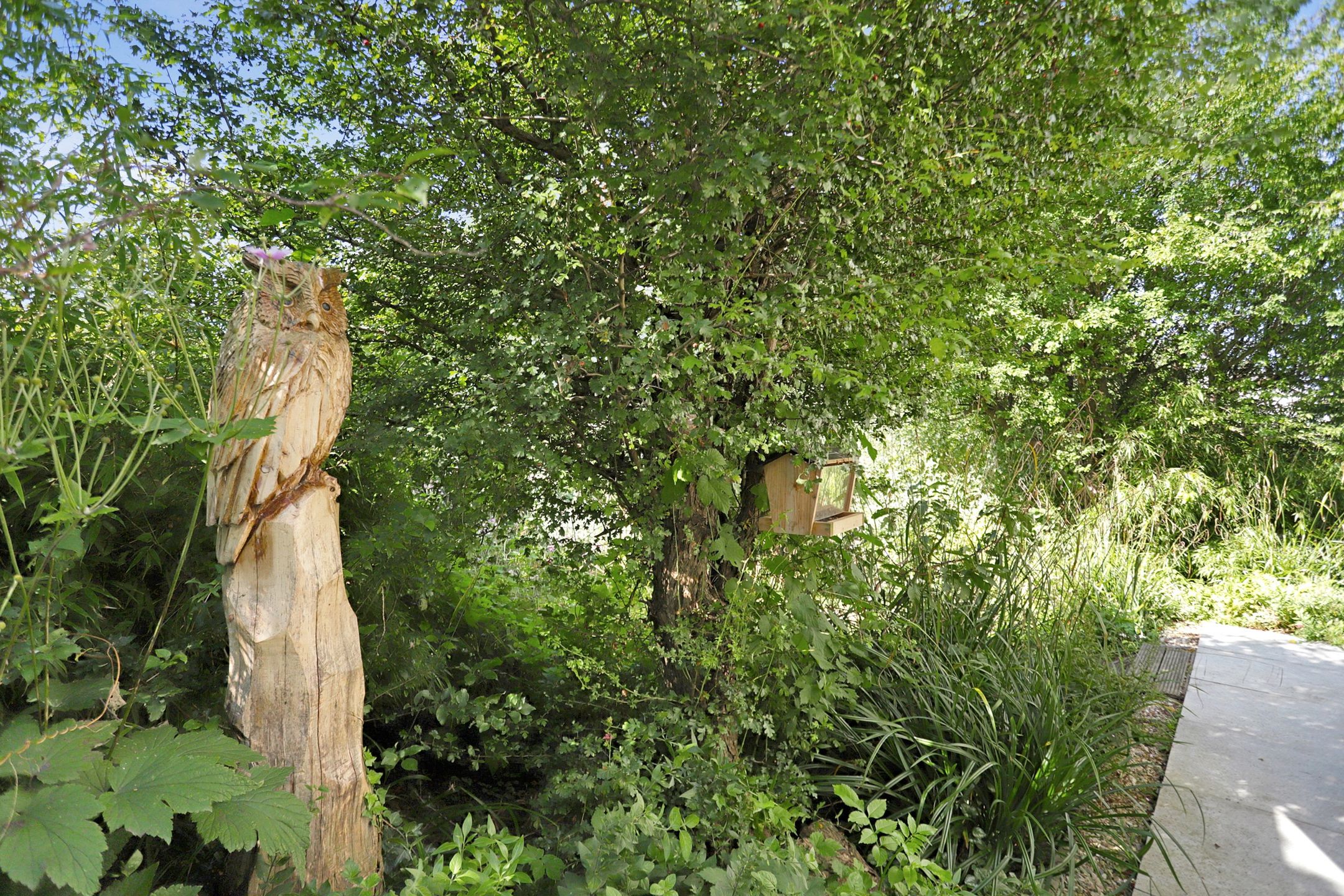 Photo 57 of Stougjesdijk 267