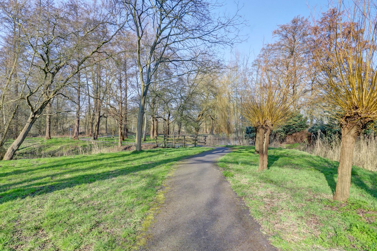 Foto 29 van Anna Paulownaplein 5