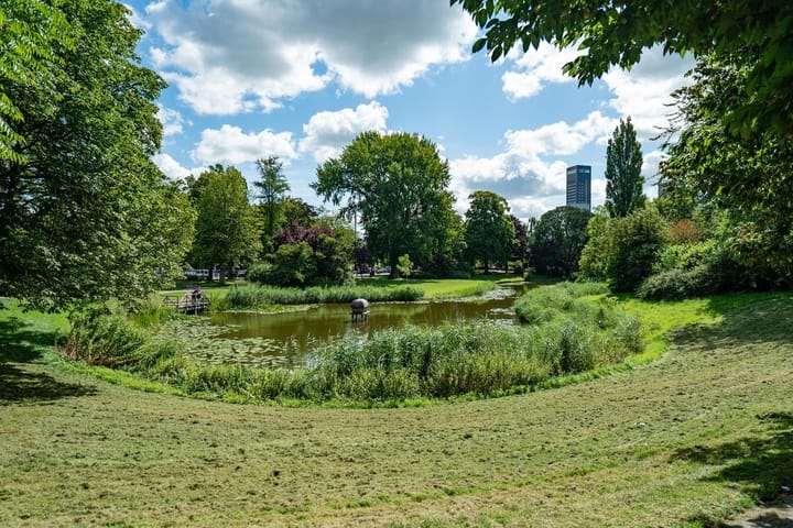 Foto 50 van Coornhertstraat 13