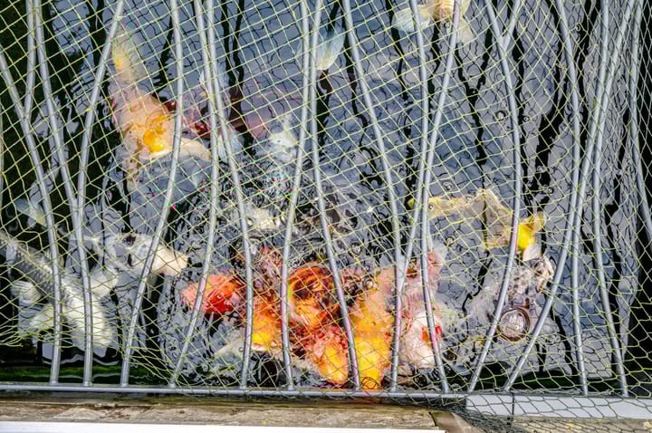 Foto 37 van Herman Gorterweg 21