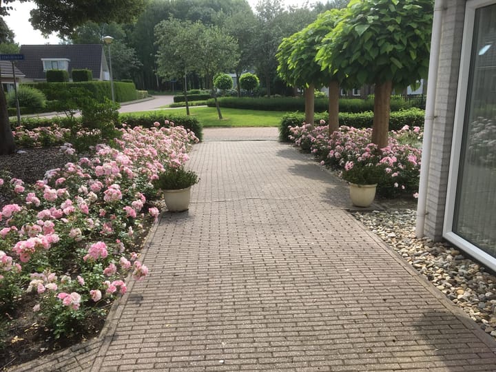 Foto 49 van Italiëlaan 2