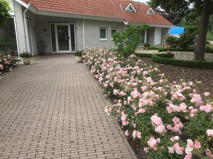 Foto 48 van Italiëlaan 2