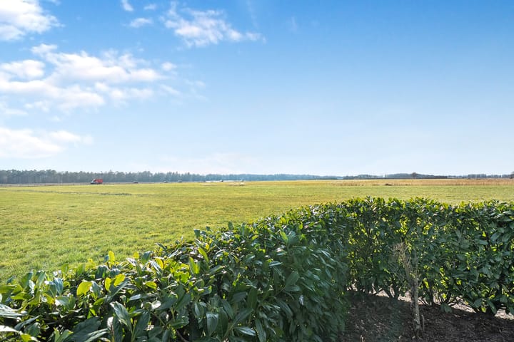 Foto 73 van Dwarsweg 5