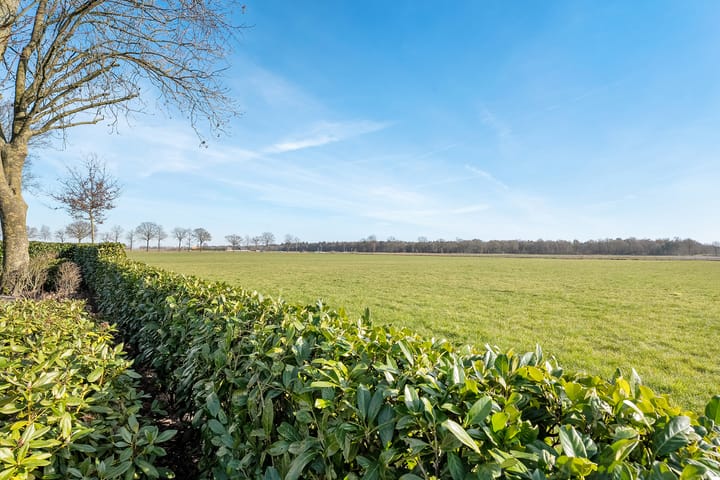 Foto 74 van Dwarsweg 5