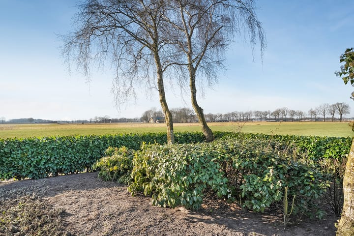 Foto 75 van Dwarsweg 5