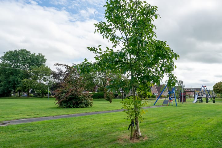 Foto 46 van Kelderswerf 77