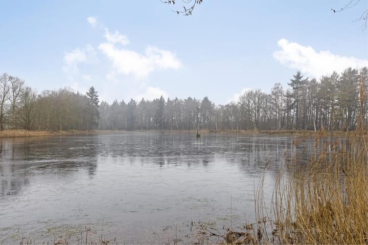 Foto 52 van Schaapskuilweg 7